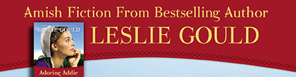 Bethany House Contemporary Fiction