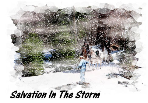 Salvation InThe Storm