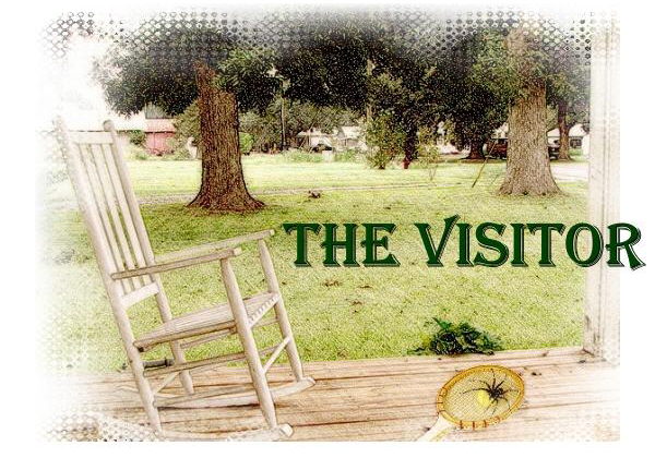 The Visitor