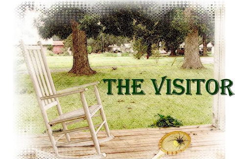 The Visitor