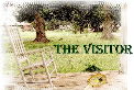 The Visitor