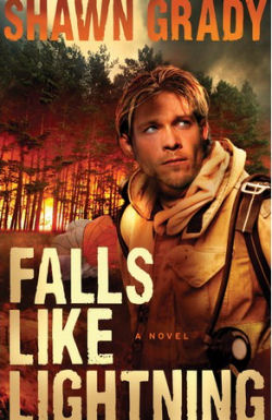 Falls Like Lightning by Shawn Grady